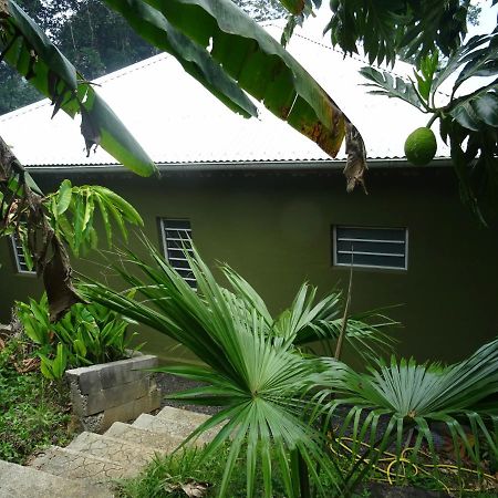 Bungalow Dourou Deshaies Exteriér fotografie